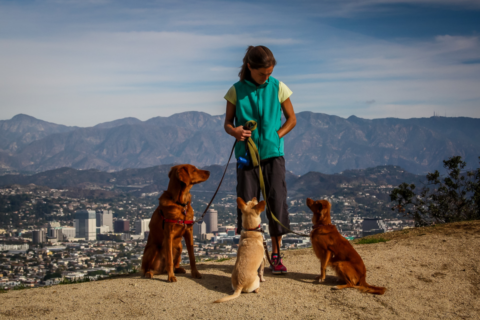 Lisa offering some treats to the dogs while on a hike in Griffith Park.